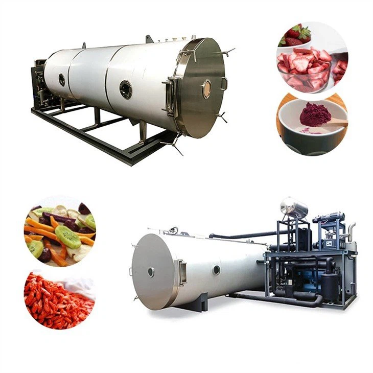 large freeze dryer machine