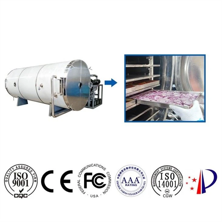 Yogurt Fruit Vegetable Vacuum Freeze Dryer