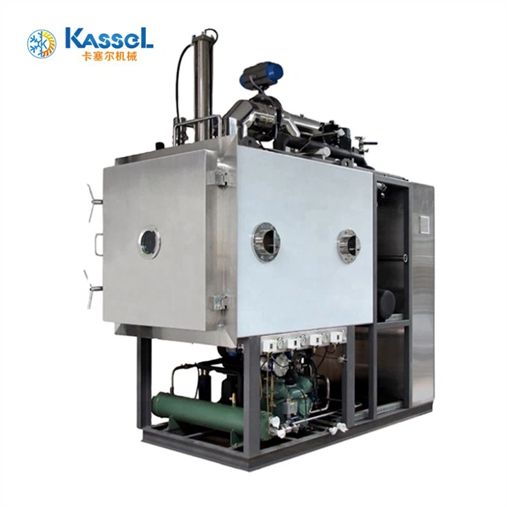 Sèche-littoral à vide de laboratoire professionnel